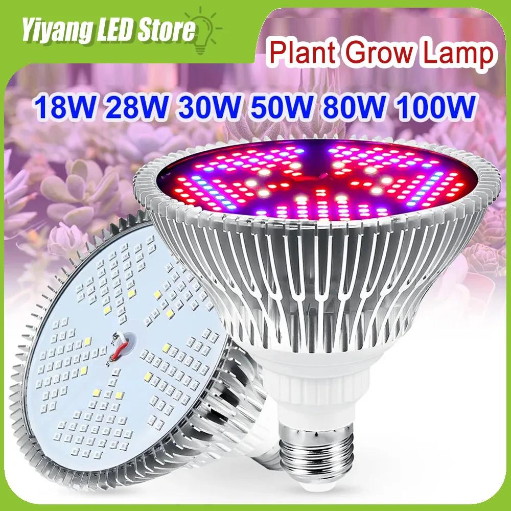 Yiyang Ǯ Ʈ Ĺ  , ǳ     Ʈ ڽ, 220V LED E27 Ĺ , 85-265V